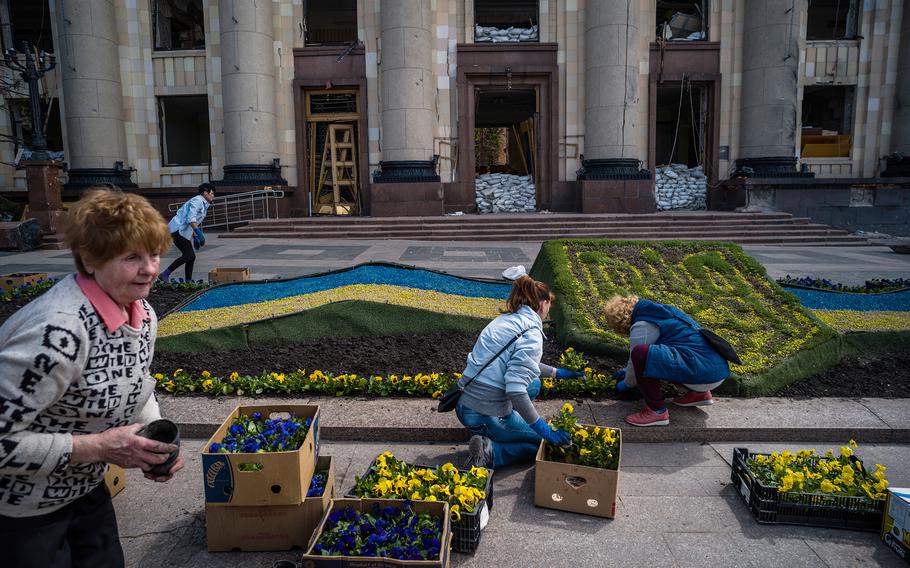 Valentina Orlova, 73, and other volunteers plant pansies in front of a damaged administration building in Kharkiv on May 4. 