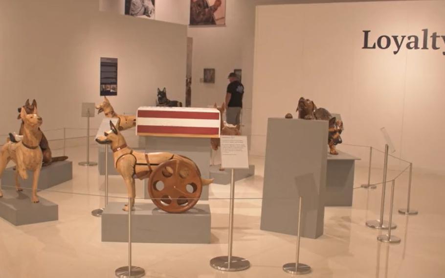 This screenshot from video shows The National Museum of the United States Army’s new traveling exhibition, “Loyal Service: Working Dogs at War.”