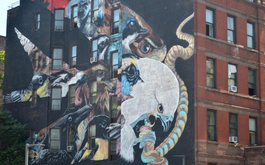 A mural at 575 W. 155th St. in Manhattan, seen on June 26, 2022, depicts a swallow-tailed kite clutching a garter snake. The artist, Lunar New Year, also worked 12 other birds into the montage. 