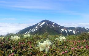 Mount Furano in Hokkaido, Japan, is pictured in June 2020.