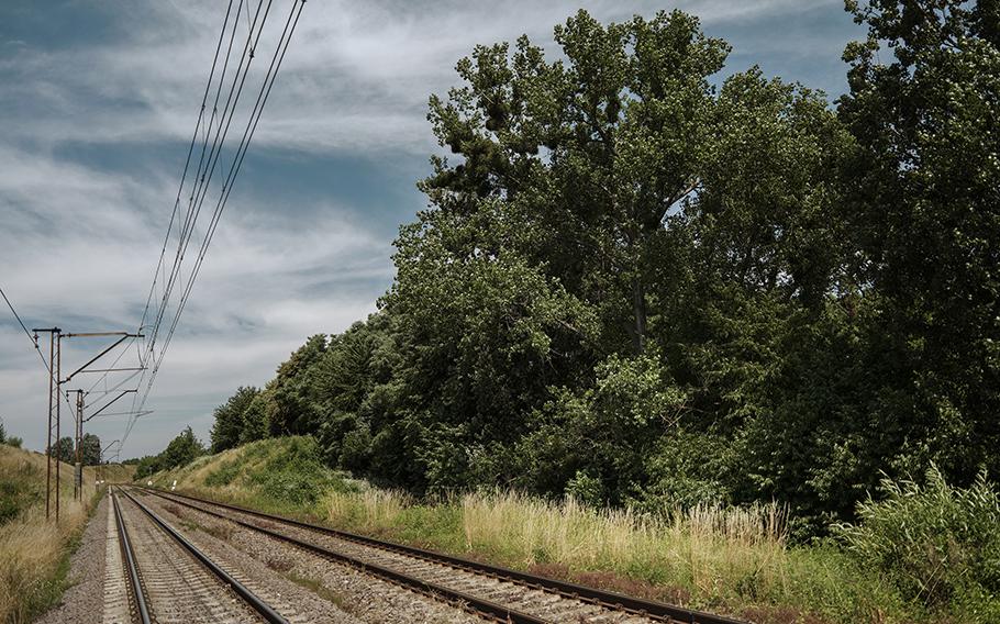 A site in Buszkowiczki, Poland, near the border with Ukraine, where investigators say a video camera installed by recruits working for Russia was found on a tree along strategic rail tracks. The camera has been removed. 
