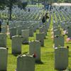 Volunteers place roses on headstones in Section 60 of Arlington National Cemetery, May 25, 2015, in Arlington, Va. Memorial Day Flowers Foundation handed out and placed on headstones over 120,000 roses and carnations in ANC. (U.S. Army photo by Rachel Larue/Released)