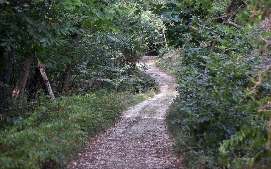 Much of the Gor Nature Trail, which runs between the Italian towns of Budoia and Polcenigo, is along a gravel road. Some stretches are paved with concrete. The trail is suitable for mountain bikes, though a bit rough for strollers.