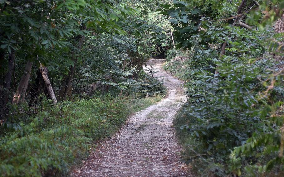 Much of the Gor Nature Trail, which runs between the Italian towns of Budoia and Polcenigo, is along a gravel road. Some stretches are paved with concrete. The trail is suitable for mountain bikes, though a bit rough for strollers.