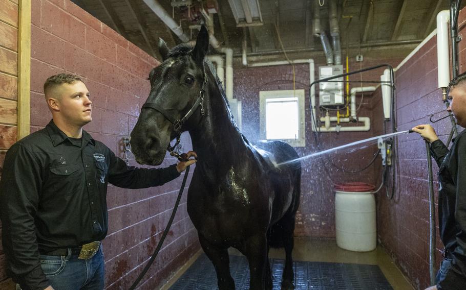 Soldiers clean a horse after training.