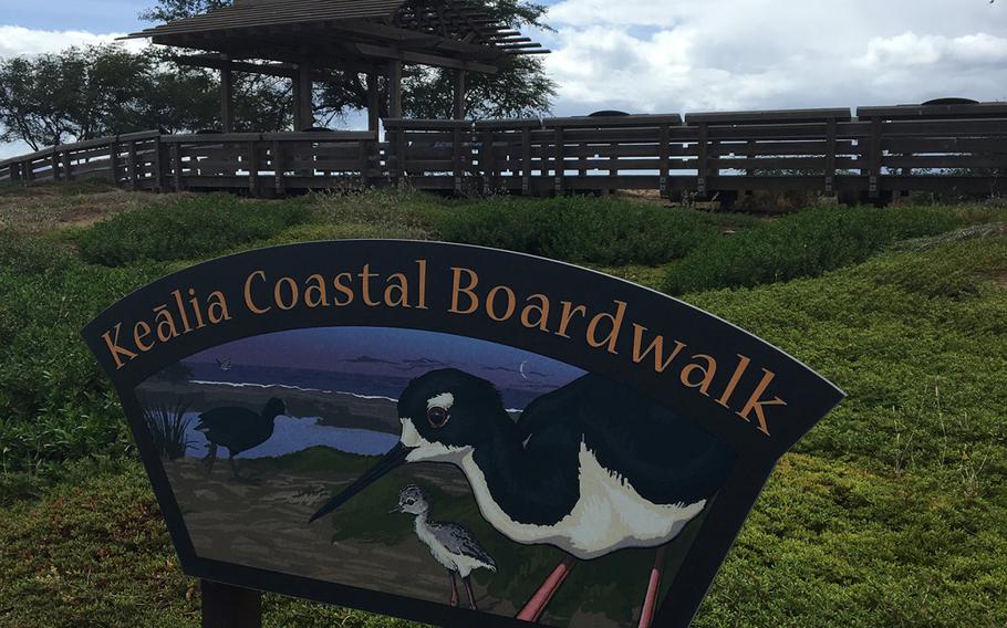 Enjoy the birds and the coastal views at Kealia Coastal Boardwalk on Maui. 