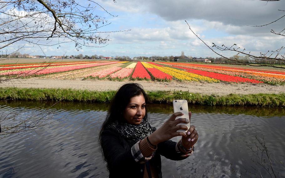 Tulips are all around at Keukenhof Gardens, now open in Lisse, Netherlands.
