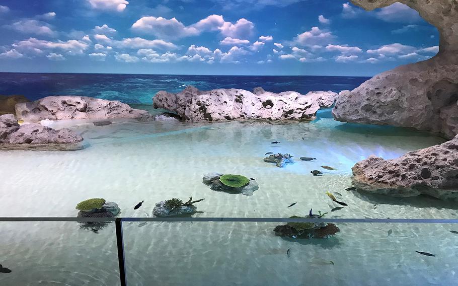 An Okinawa tidal pool is recreated at the brand new DMM Kariyushi Aquarium, located in the new Iias Okinawa Toyosaki mall in southern Okinawa, on Sept. 26, 2020. 