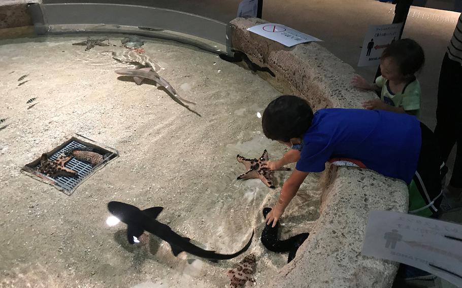 Kids can have a hands on experience at the brand new DMM Kariyushi Aquarium, located in the new Iias Okinawa Toyosaki mall in southern Okinawa, seen here on Sept. 26, 2020. 