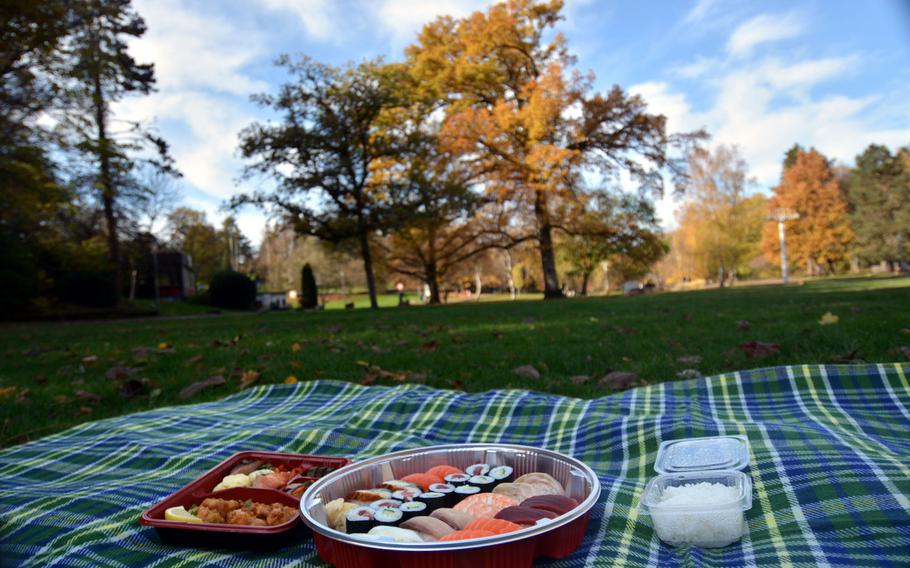 A doubled-up sushi combination platter and a fried chicken bento box from Hashimoto in Saarbruecken, Germany, ready to eat at a picnic in the city's German-French Garden.

