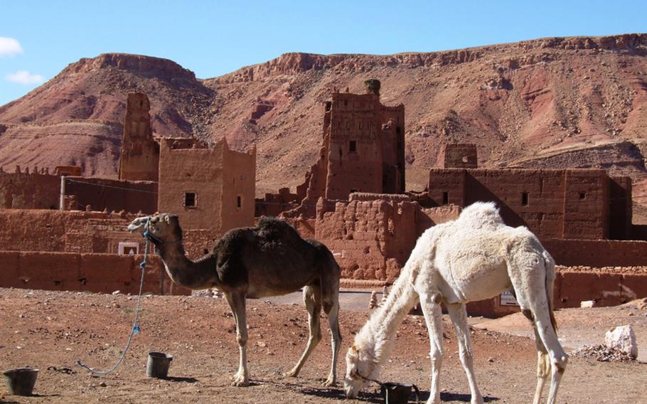 At a casbah near Ouarzazate, both buildings and landscape are a deep rose-colored sand.