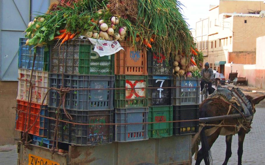 Donkeys get a workout in Morocco, hauling everything from people to overloaded carts.