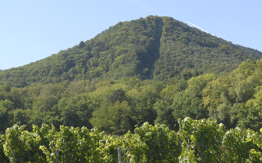 The chairlifts that run up a steep hill to the Rietburg castle ruins can be viewed from a distance in the surrounding vineyards near Edenkoben, Germany.