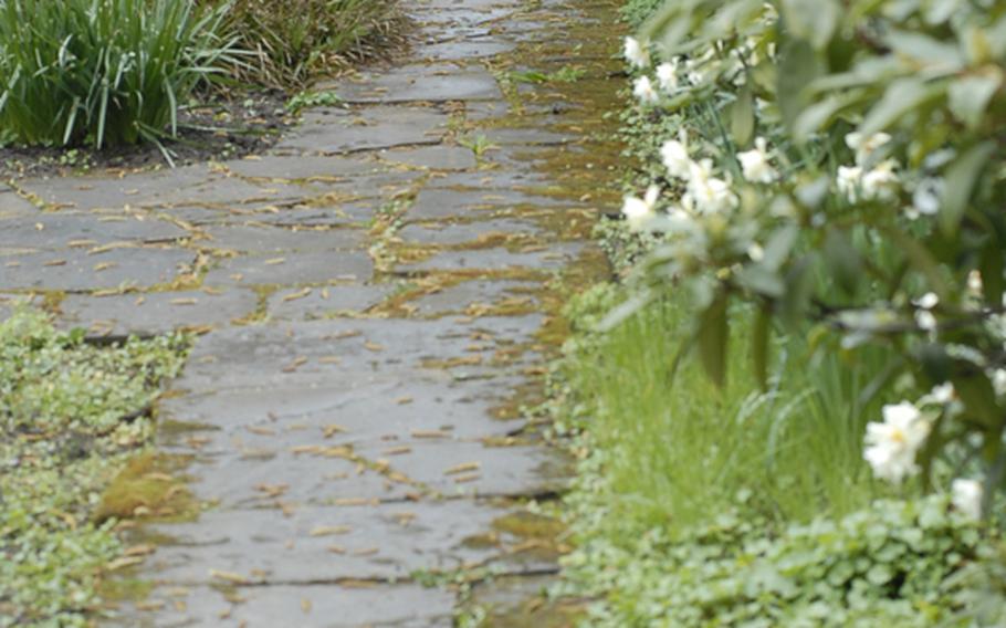 A stone path speckled with moss meanders through one section of the Rose Garden in Zweibrücken, Germany.