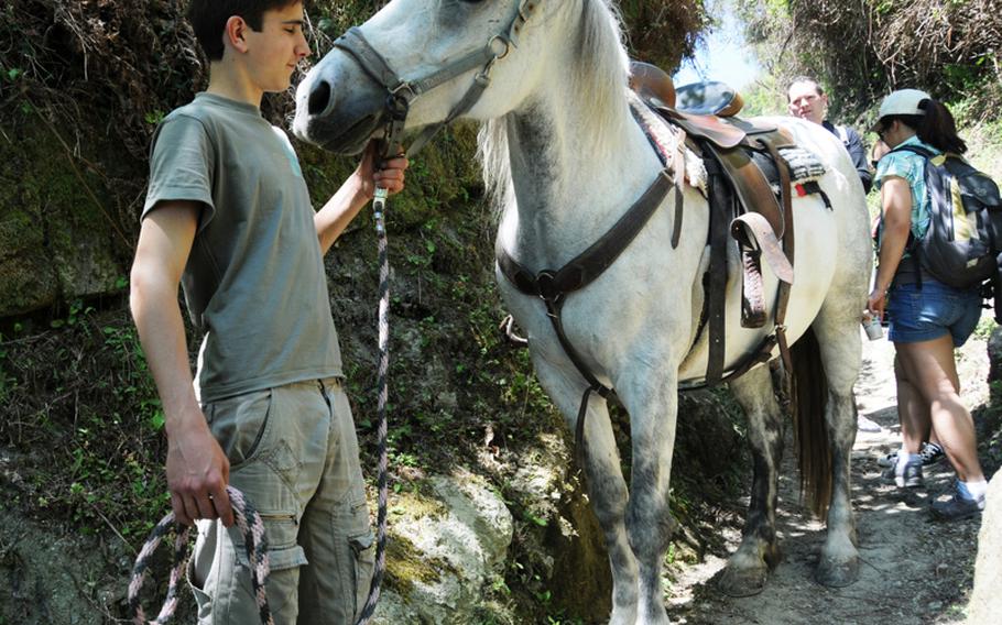 A handler makes his way down the narrow trail to the Miscillo Souvenir shop and base camp with Concita the horse after taking trekkers to the summit of Mount Epomeo, the volcano on the island of Ischia. All&#39;Epomeo in Sella (To Epomeo in the Saddle) restarted the tradition of taking hikers to the summit by animal. Once done by mules, the trek is now done on horseback for 20 euros.