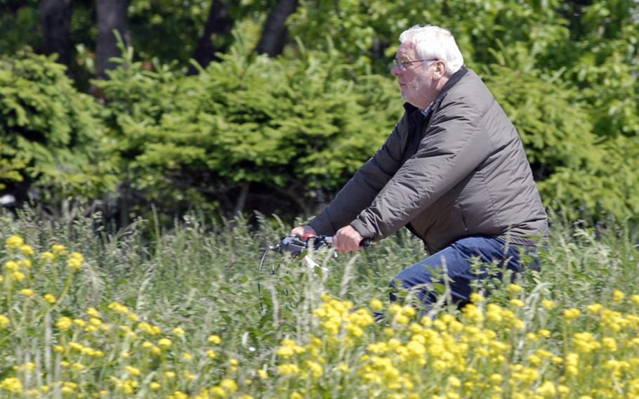 A bicyclist rides through a field of flowers at Hochheim am Main, Germany, near Wiesbaden. Bikers, hikers and others converge on this area of the Main River to have picnics, stroll through the fields or play with their dogs.