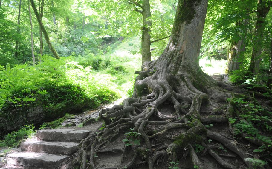 It's a picturesque and tranquil journey through the woods to the waterfall on the outskirts of Bad Urach, Germany.