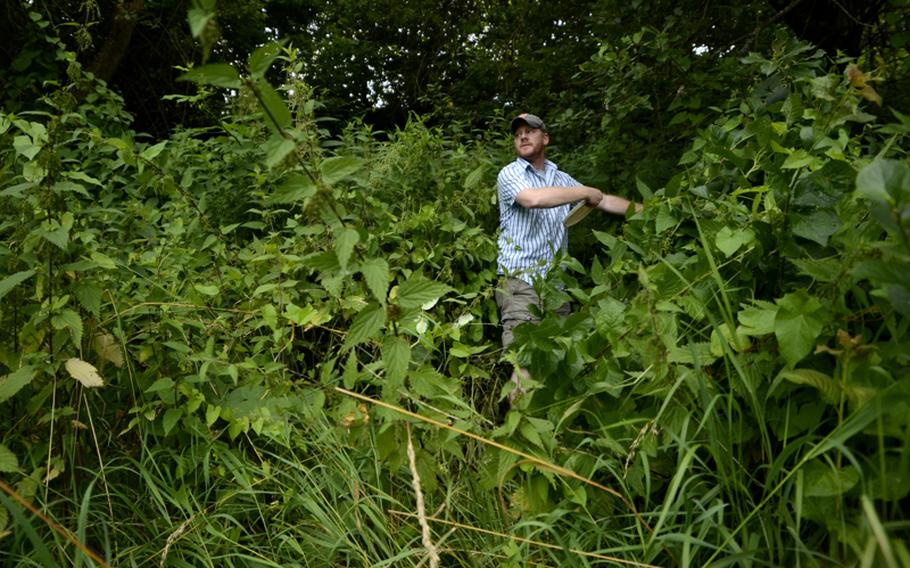 Stinging nettles surround Matt Millham after his disc landed among them at the Dynamikum Science Center disc golf course in Pirmasens, Germany. Shoes and pants are recommended to avoid contact with the nettles.