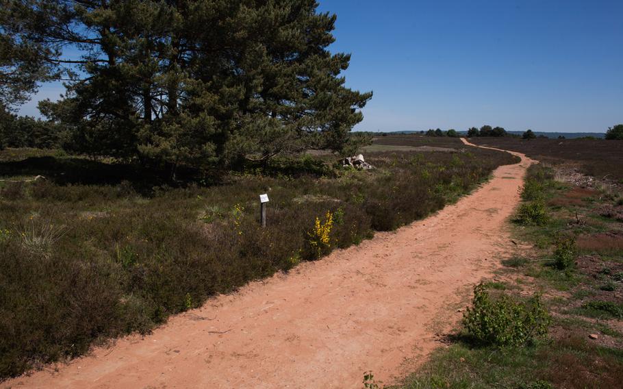 A sandy path runs around the perimeter of the Mehlinger, Heide in Mehlingen, Germany, the largest heath in southern Germany.

Matt Millham/Stars and Stripes