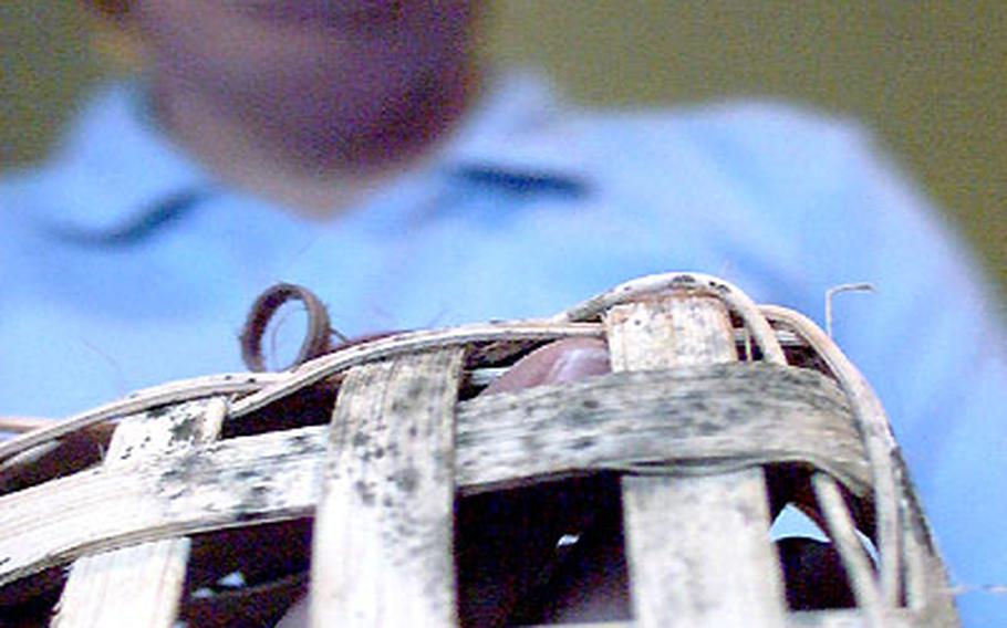 Susan Petersen says mold spores from her home air delivery system spread to other items, like this basket. Her two children developed mold-related asthma and allergies after moving into base housing on Okinawa in February 2002.