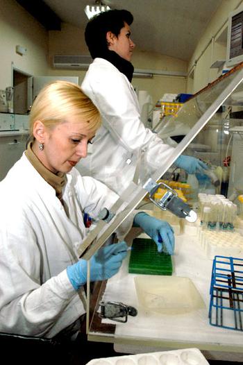 Dijana Kadric and Arijana Pozder, at the International Commission for Missing Persons (ICMP) lab in Sarajevo, work on taking DNA samples from bone samples exhumed from mass graves.