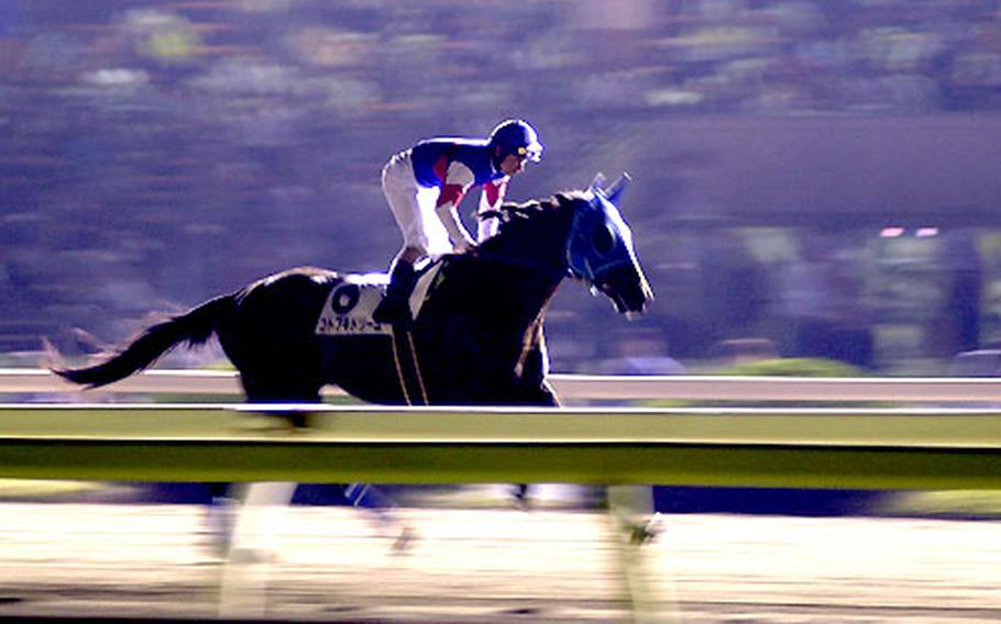 A jockey and his mount warm up before the eighth race at Tokyo City Keiba.