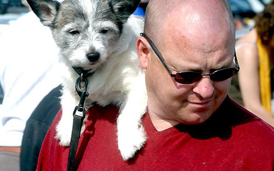 A man and his dog look for bargains at a car boot sale in Cambridge, England.