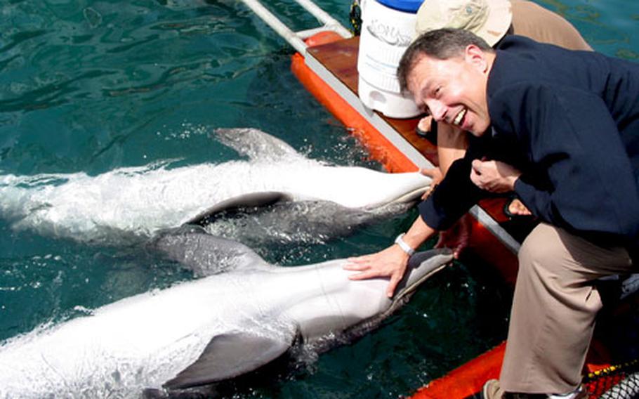 Richard H. Jones, U.S. Ambassador to the State of Kuwait, visits the newest U.S. citizens at Camp Patriot, Kuwait — Kona and Katrin, a pair of Atlantic bottlenose dolphins employed by the U.S. Navy for mine detection in shallow water.