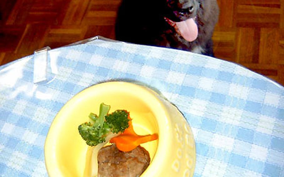 Queen, a 4-month-old Newfoundland, looks at a beef hamburger with vegetables, one of the two dishes for dogs served at Wonderland Dog Café. Queen belongs to café owner Elena Matsuda.