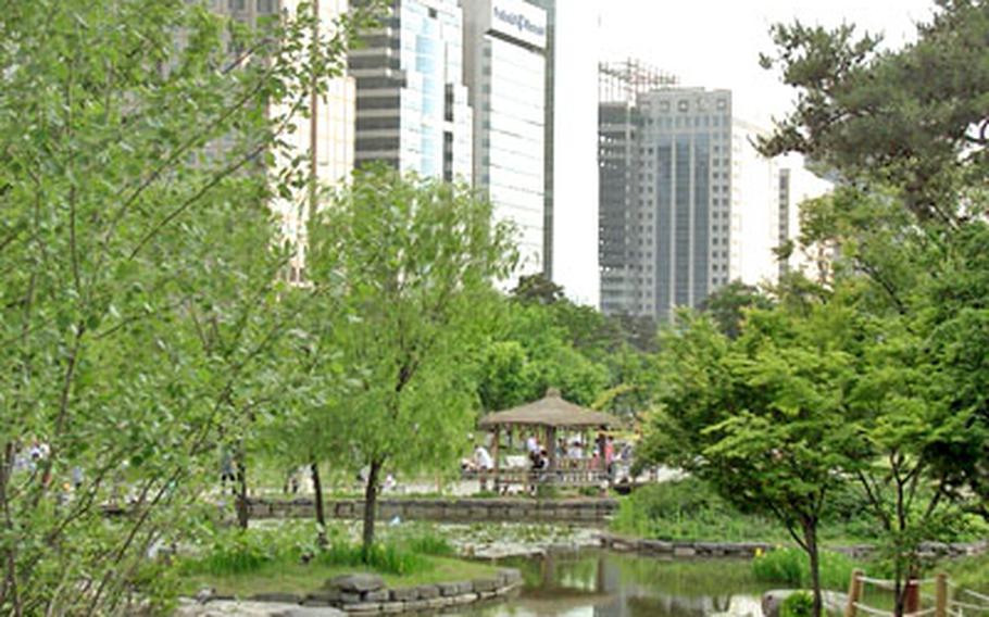 Yeouido Park in Seoul, South Korea, sits right in the middle of Seoul’s skyscraper district, offering families a fun break from the city on weekends.