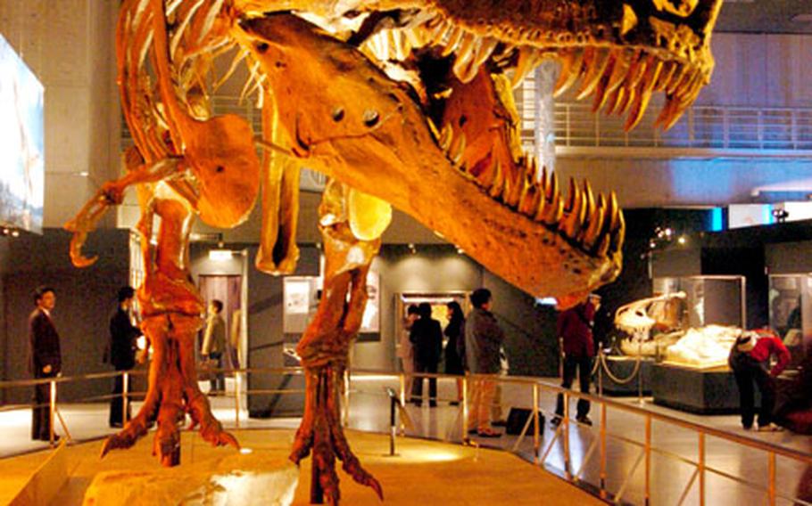 “Sue” a Tyrannosaurus rex found in South Dakota in 1990, is a full-body reproduction that is sure to delight dinosaur lovers.