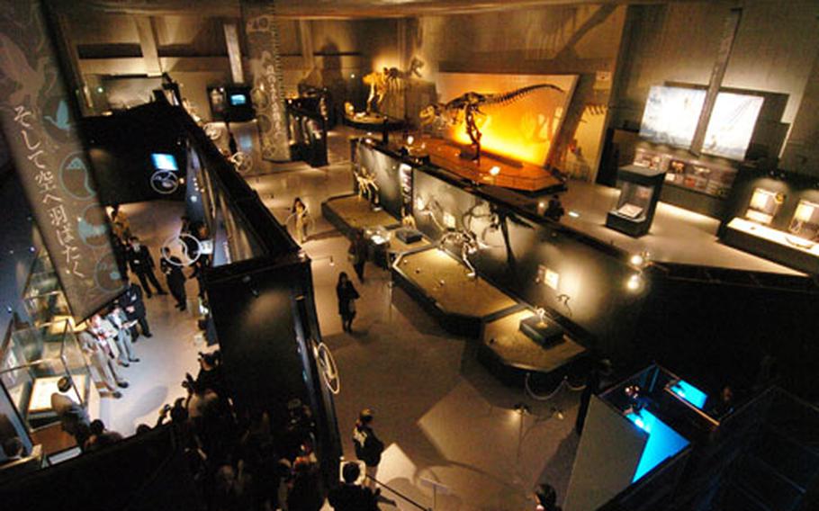 The Dinosaur Expo 2005 at the National Science Museum in Tokyo is designed in a progressive evolution to explore the theory that dinosaurs evolved into birds.