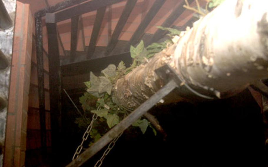 A tree grows in the bar — the Landstuhl’s Tree Bar serves as a late-night bunker for those looking to keep the party going well into the morning.