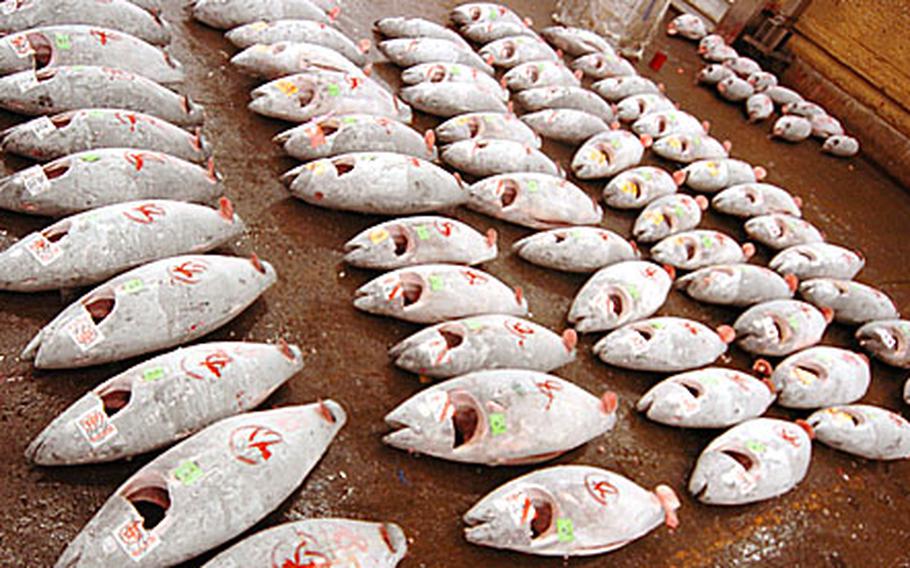 Large stacks of tuna and other assorted fish are staged in the warehouse by buyer and then moved to their desired location. Japanese fishermen and vendor’s sale fish daily at Tsukiji Fish Market in Tokyo Japan on Monday. The market opens every morning except Sundays and holidays at 3:00 a.m. with the arrival of the products by ship, truck and plane from all over the world