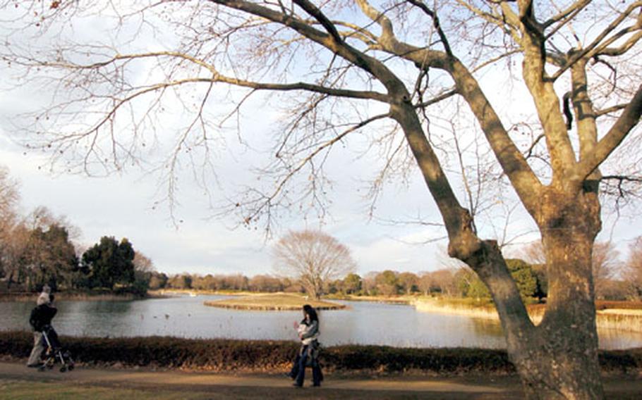 Japanese patrons can exercise and play in the open fields at Showa Park. A former military base, the park was establishing to commemorate the 50th anniversary of emperor Showa’s reign. The park opened in 1983 and has attracted many visitors since.