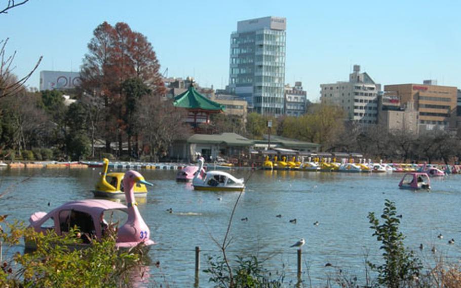 Visitors can paddle a small boat or enjoy a walk around Shinobazu Pond at Ueno Zoo.