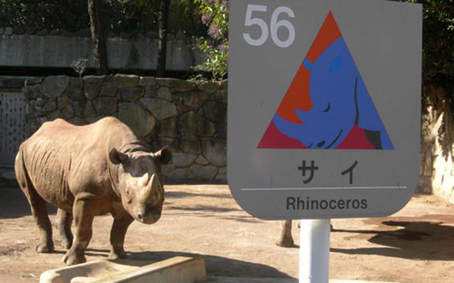 A rhinoceros is clearly labeled in English for visitors at Ueno Zoo.