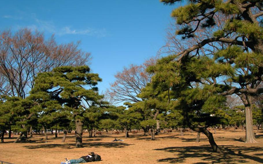 Japanese salary men lay out in the sun during their lunch break on the park grounds outside the Imperial Palace.