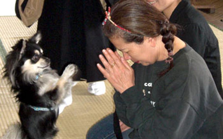 Conan brings peace and smiles to visitors as he shares prayers with them at Kannon Do Zem temple in Naha.