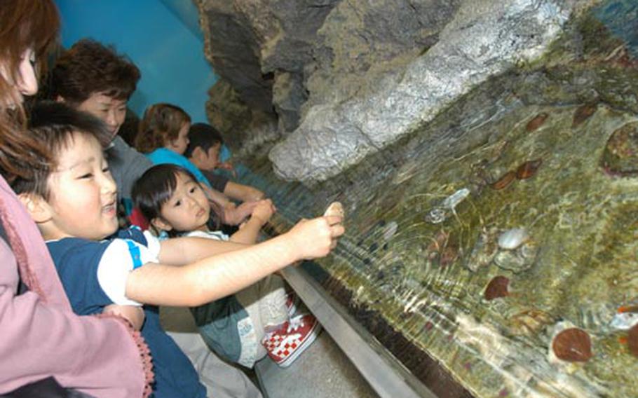 The "Hands-On Corner" at Asamushi Aquarium in Aomori is popular with kids.