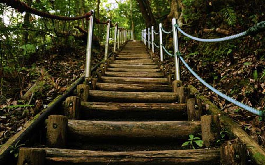 There are 76 steps straight up and then another 76 or so down once you got to the top of Hiji Falls on Okinawa. The steps are very sturdy and were put in relatively recently, making this trail to the falls accessible to a wide age range.