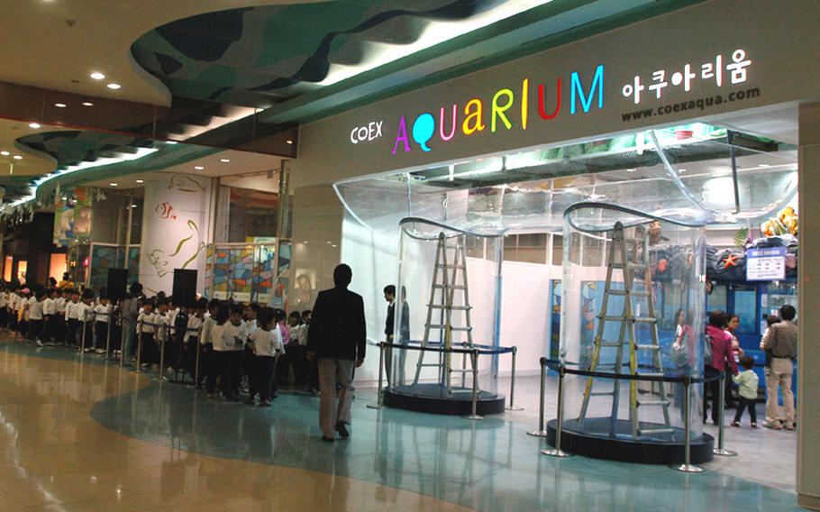 School children line up to visit the COEX Aquarium, where 650 species are represented by 40,000 aquatic specimens in some 2,500 tons of water.