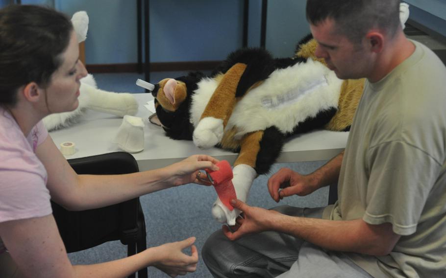 Nicole Robarge, a civilian veterinarian at Aviano Air Base in Italy, helps Philip Brown, a staff sergeant stationed at Aviano, apply a bandage to a dummy dog during a class on applying first aid to dogs sponsored by the American Red Cross.