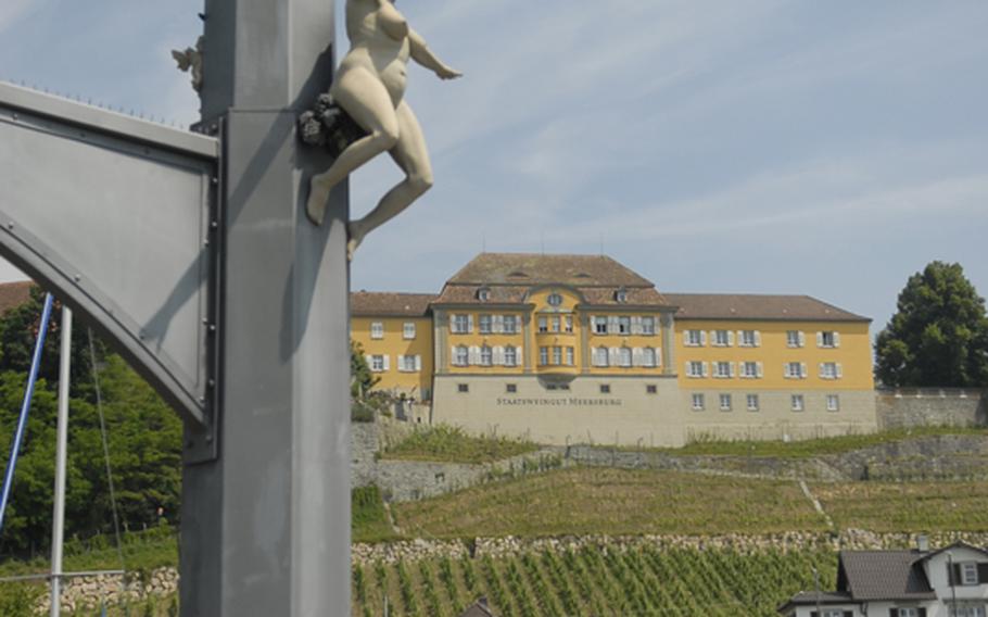 Vineyards are an important part of the landscape in Meersburg, which is known for its wine. In the background is the New Castle - a palace built in the 18th century for the prince bishops of Constance.