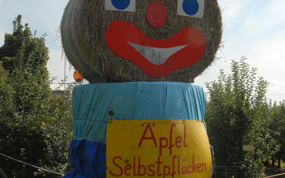 It is hard to miss this smiling face that sits outside of the Appel Happel near Mainz, Germany.  Appel Happel is a family-owned farm that allows customers  to grab a wheelbarrow and spend some time strolling through its orchards to pick apples and pears.