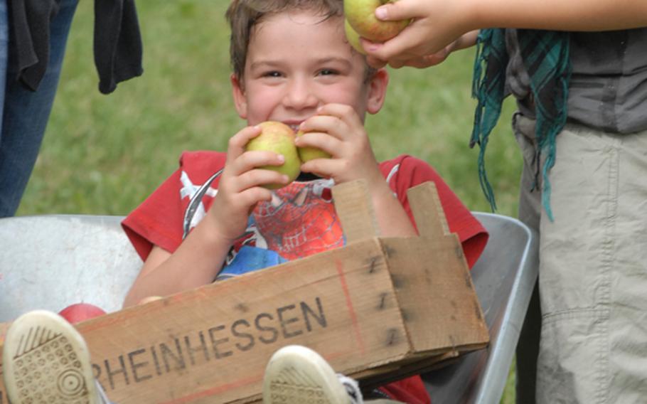 A young boy smiles from a wheelbarrow at the Appel Happel farm near Mainz, Germany.  Ilonka Happel, who owns the farm along with her husband, said kids learn something while getting something good to eat.  'A lot of kids think the apples come from the supermarket, not here,' she said.