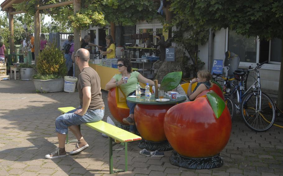 Customers enjoy the atmosphere while taking a break in apple-themed chairs at the Appel Happel farm.  On certain days, special events take place or the farm offers cake and coffee.