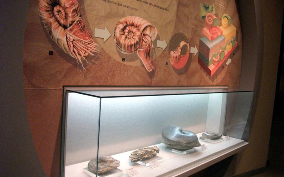 Along with dinosaur exhibits, visitors can see plenty of minerals, rock and fossils at the Seodaemun Museum of Natural History in Seoul.