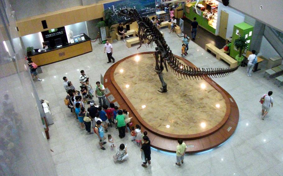 A tour guide introduces visitors to  Tyrannosaurus Rex, the most popular display at the Seodaemun Museum of Natural History in Seoul.