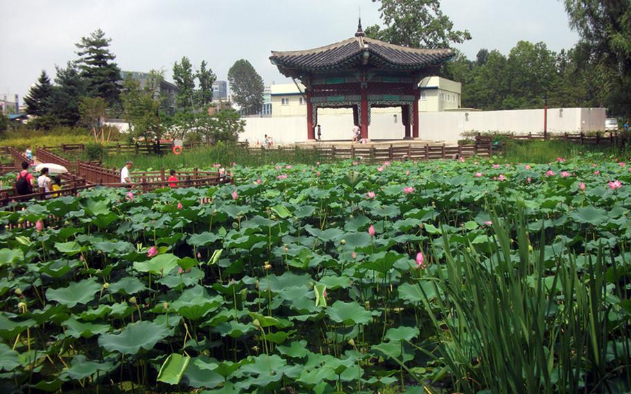 The Children's Grand Park has beds of flowers that bloom during the spring.